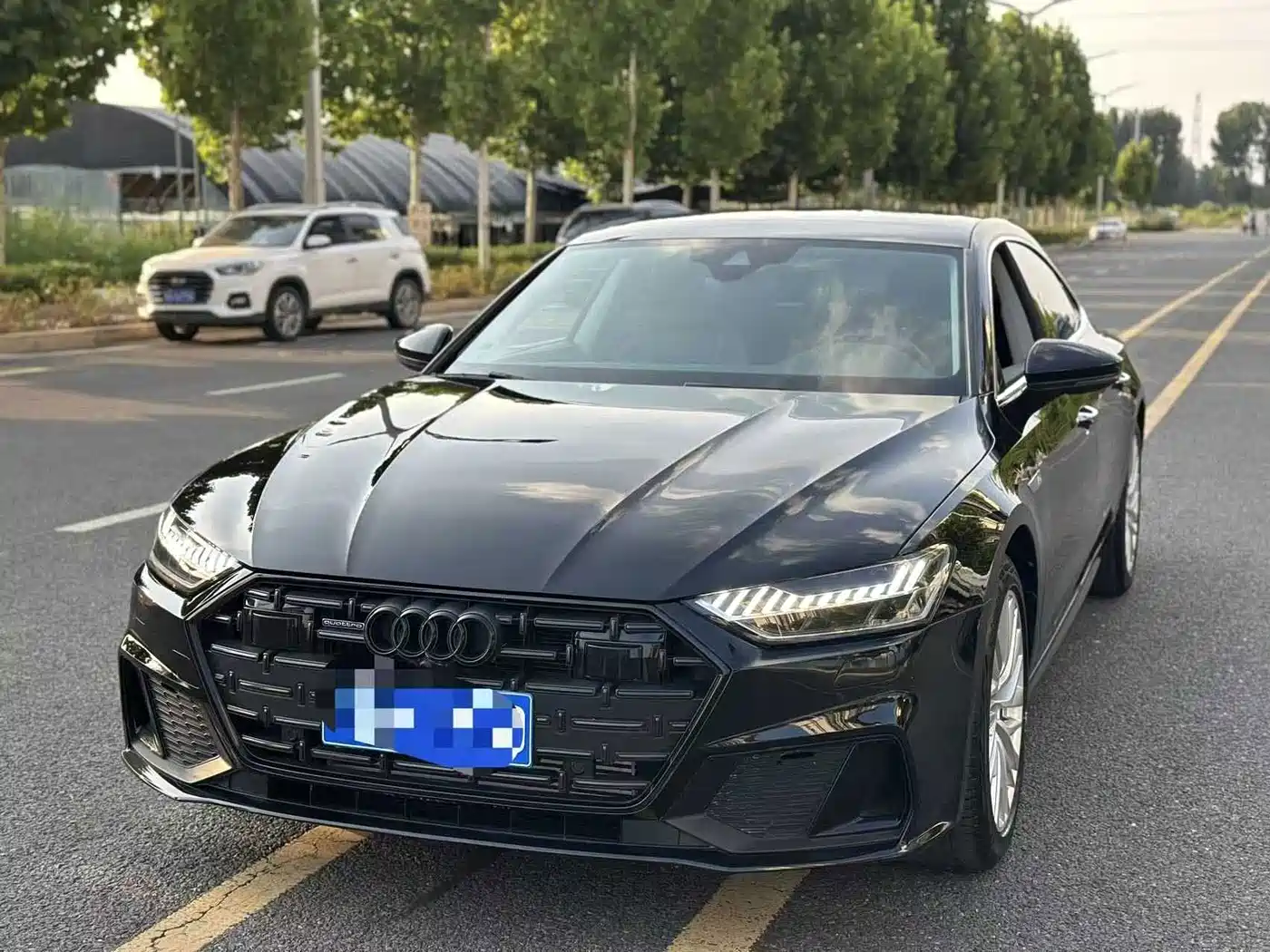 Audi A7L 2022 45 TFSI S-line Dream Builder Crystal Package