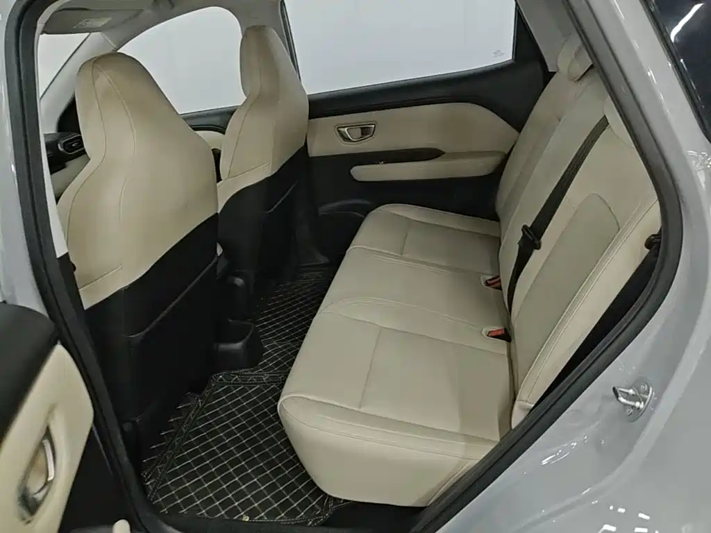 Wuling Motors Wuling Binguo PLUS 2026 2024 510km Range 5-seater