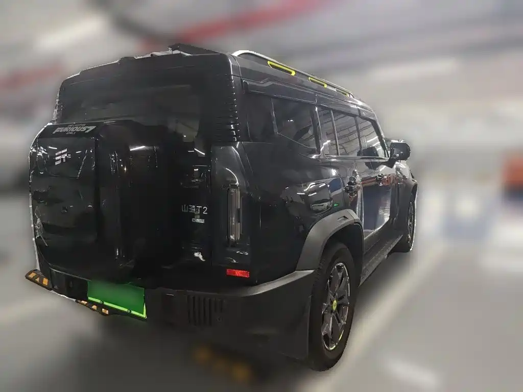Jetour Shanhai T2 2025 2024 C-DM 129KM Forest Edition