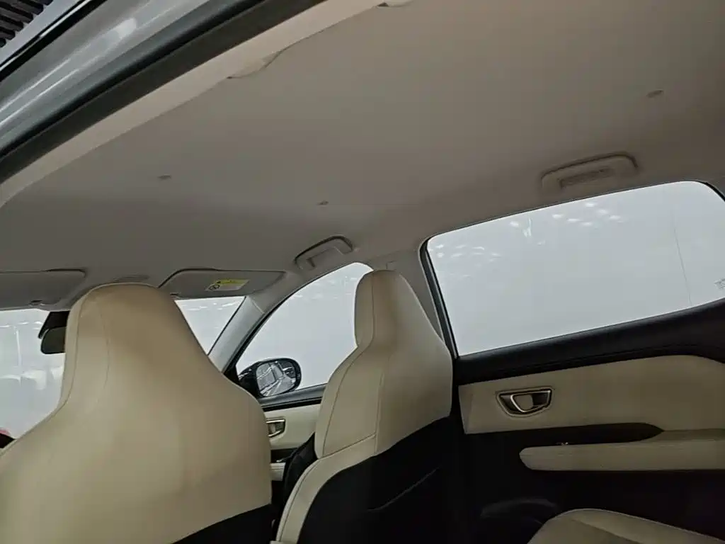Wuling Motors Wuling Binguo PLUS 2026 2024 510km Range 5-seater