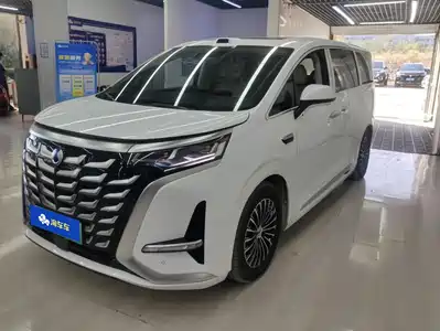 Denza D9