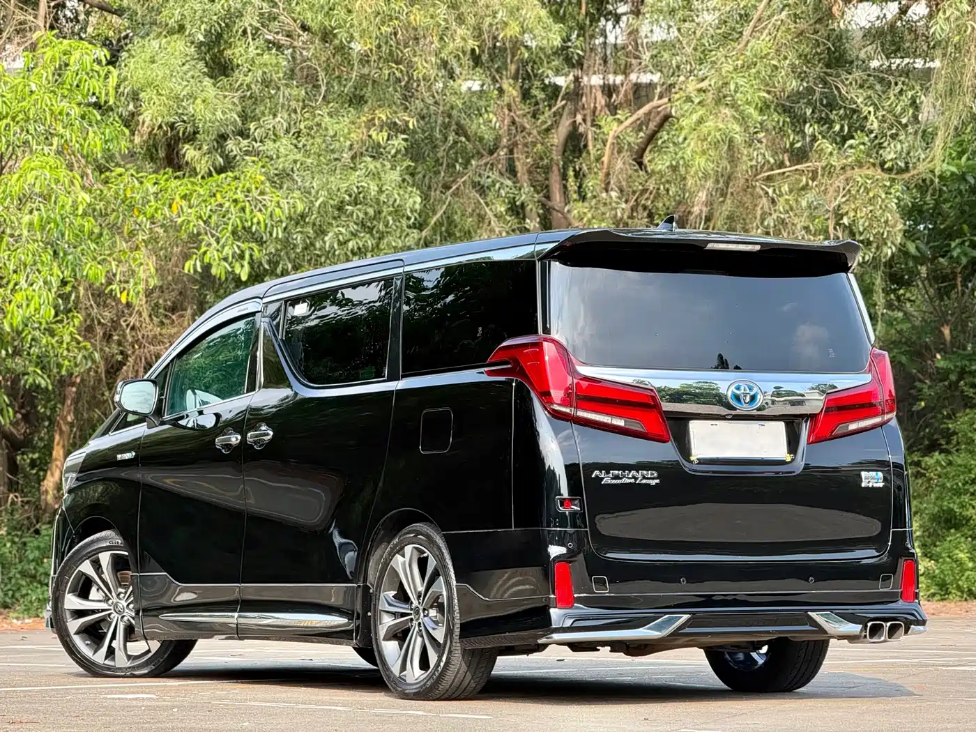 Toyota Alphard, миниатюра 20
