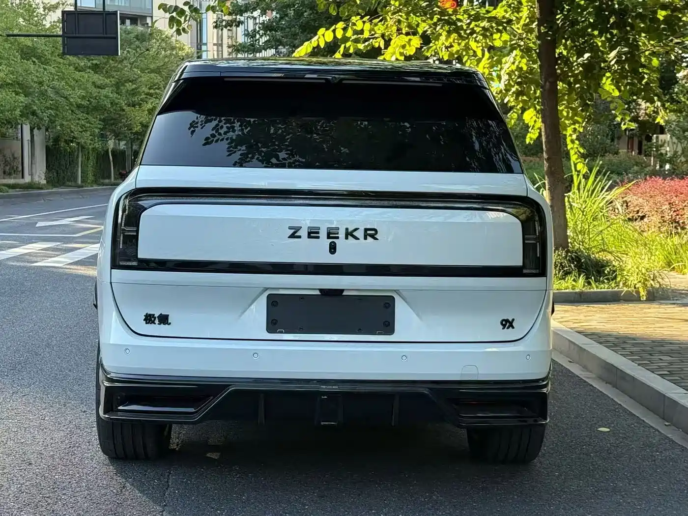 ZEEKR 9X 2026 2025 Model Standard