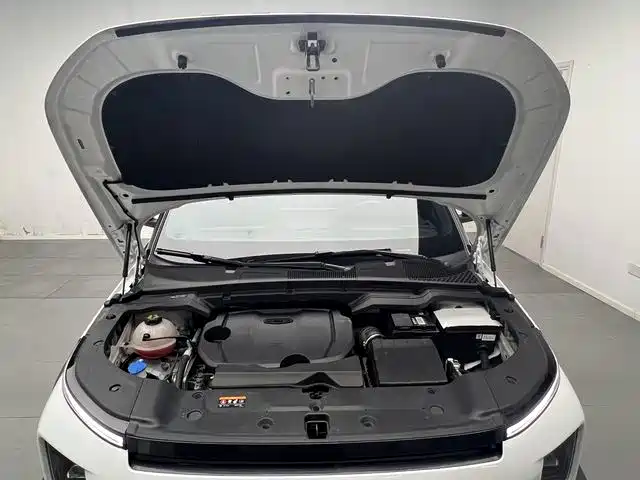 Geely Cowboy 2024 2025 1.5TD Trend Play Edition