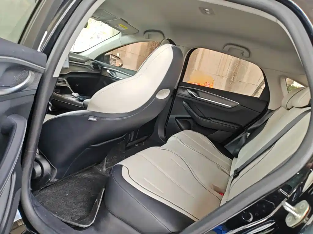 BYD Destroyer 05 2024 2024 Glory Edition DM-i 55KM Luxury
