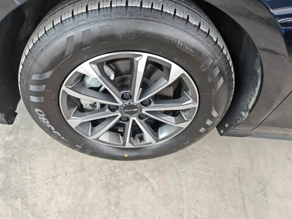 BYD Destroyer 05 2024 2024 Glory Edition DM-i 55KM Luxury
