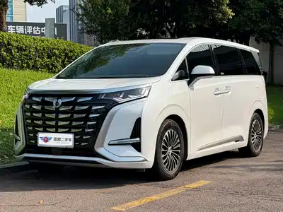 Denza D9
