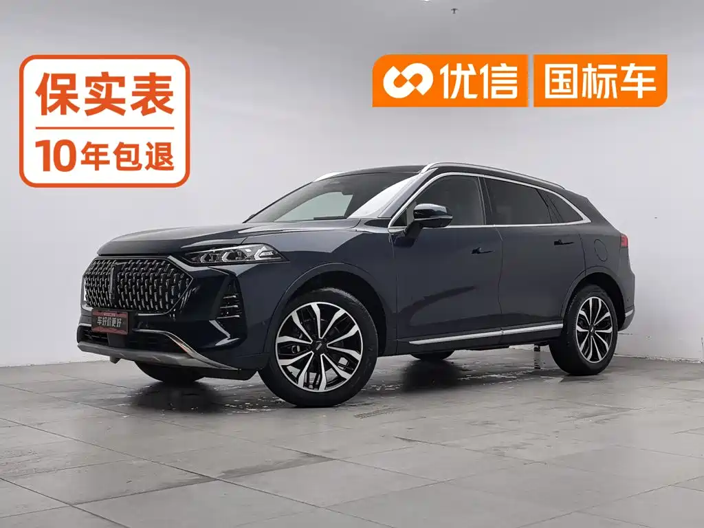 WEY Mocha 2021 2021 2.0T 2WD Extra Rich Edition