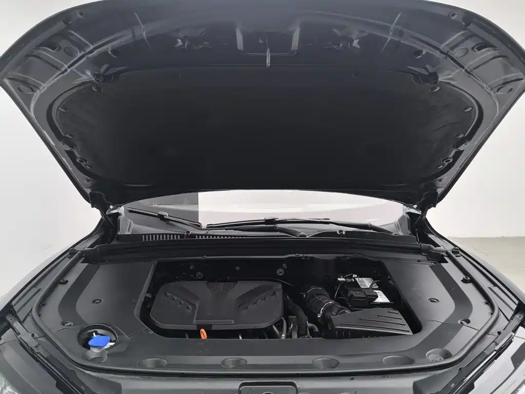 WEY Mocha 2021 2021 2.0T 2WD Extra Rich Edition