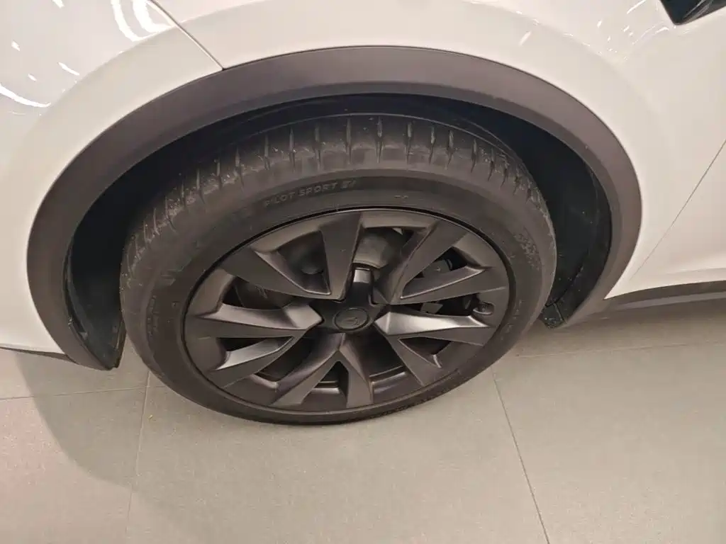 Фото 23 - Tesla Model X