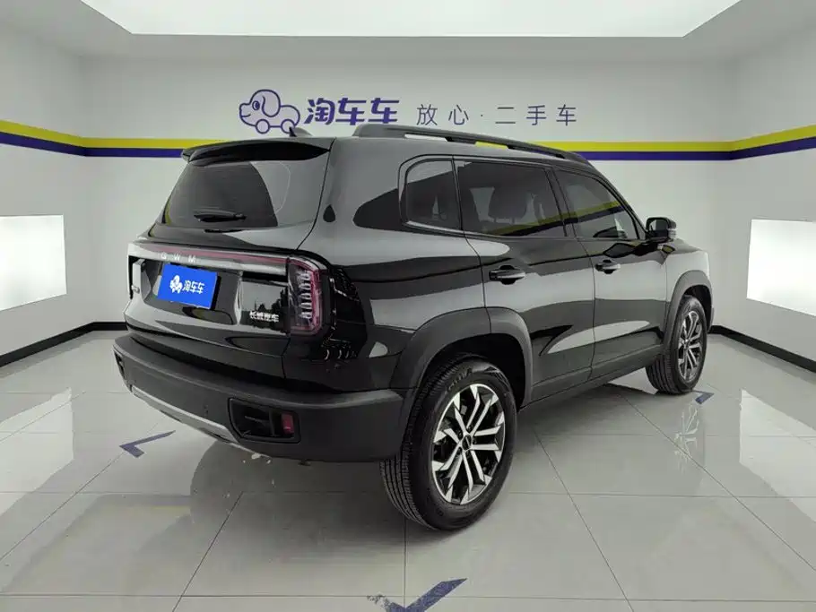 Фото 3 - Haval Dargo