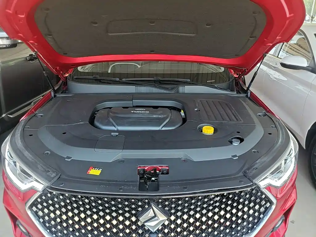 Baojun RC-6 2023 2019 1.5T CVT 24-hour Online Luxury