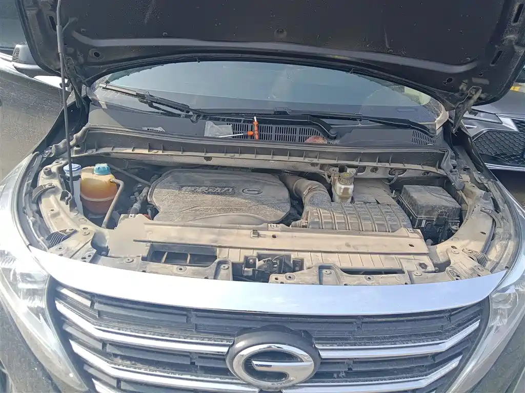 GAC Trumpchi Trumpchi M8 2021 Leading Show Series 390T Ultimate Edition фото 16