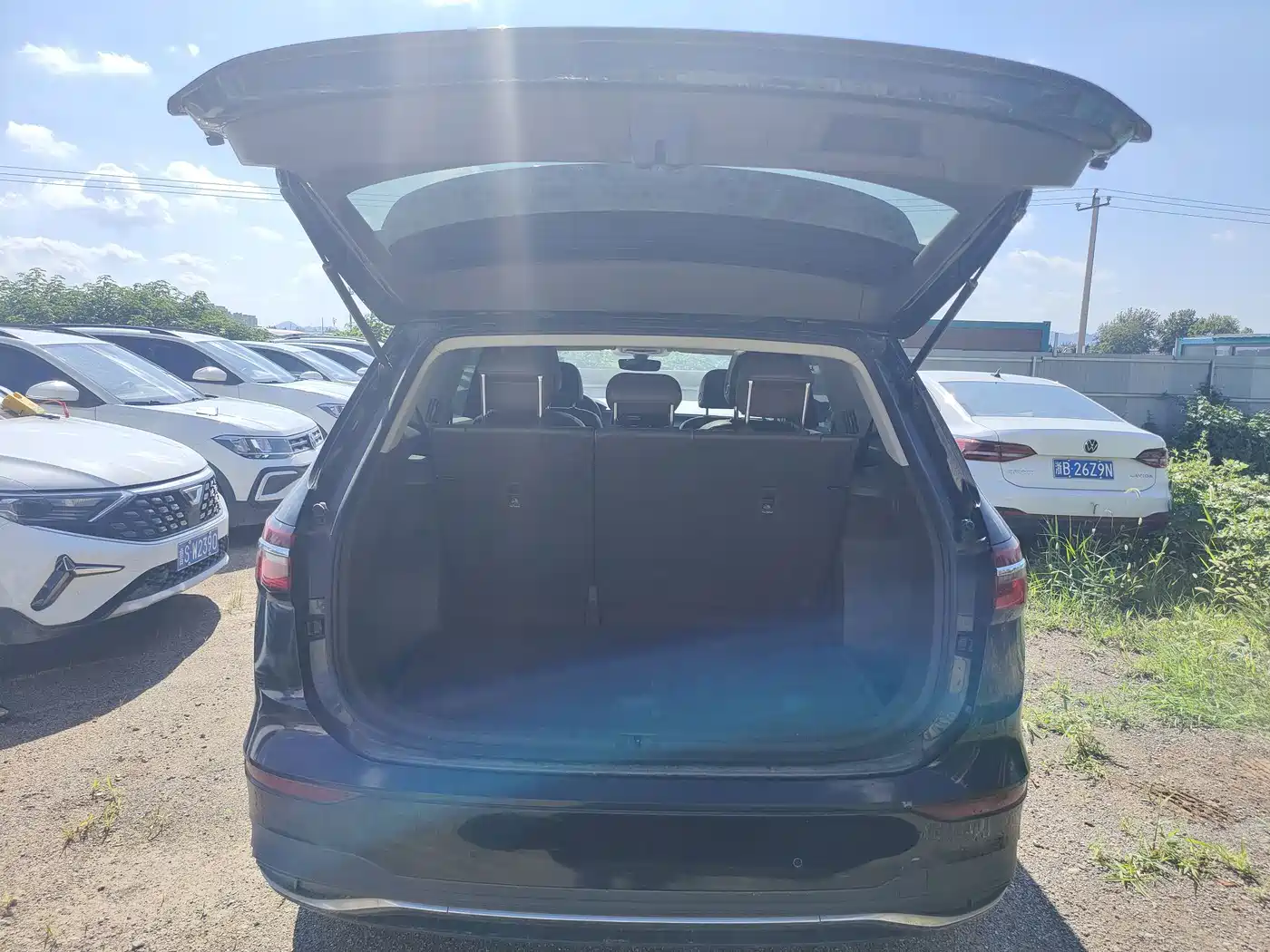 Фото 8 - Volkswagen Viloran