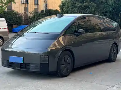 Li Auto MEGA