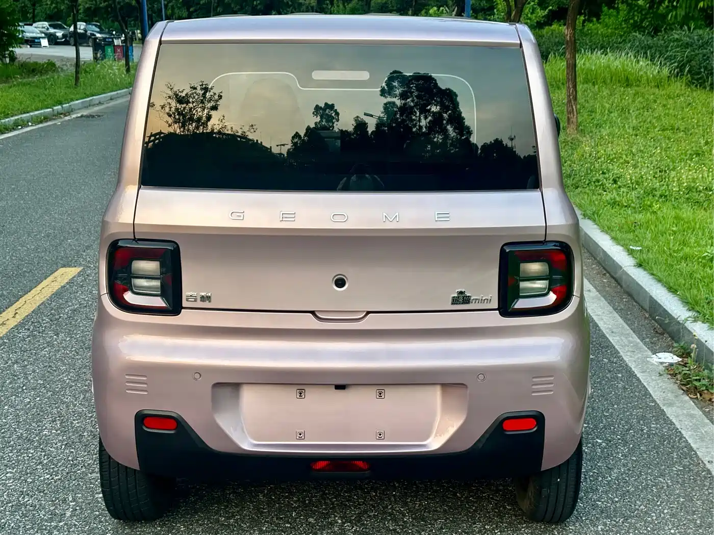 Geely Galaxy Panda 2023 2023 Panda Mini 200km Endurance Bear