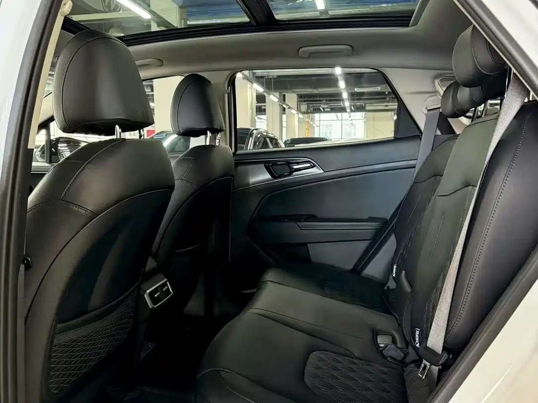 KIA LION PLATINUM EXPANDS THE WORLD