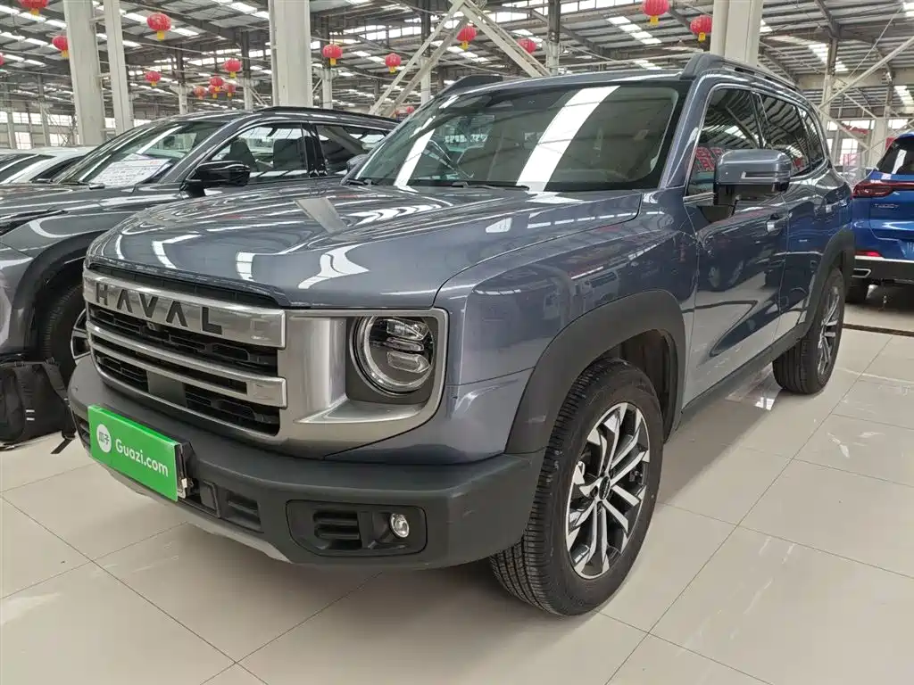 Haval Big Dog 2024 1.5T DCT Border Collie Edition