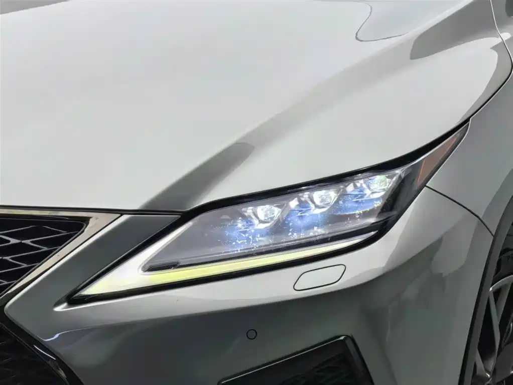 Lexus RX 2020 300 AWD F SPORT China V фото 16