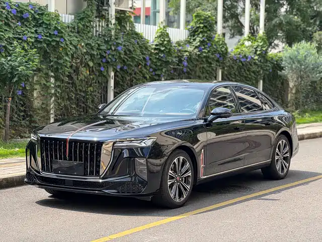Hongqi Hongqi H9 2024 2.0T Qi Chang Private Fashion Edition