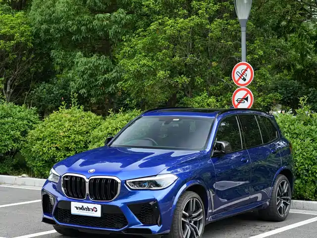 BMW X5 M X5 M