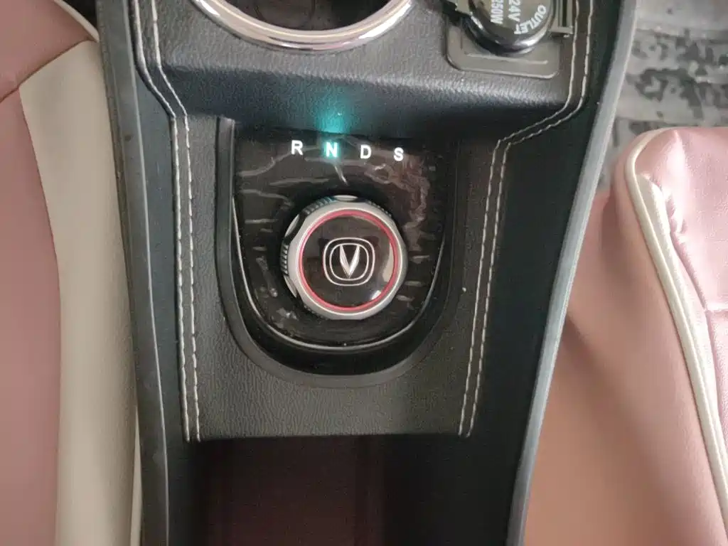 Changan Benben E-Star 2022 2022 Appreciation Edition Colorful LFP