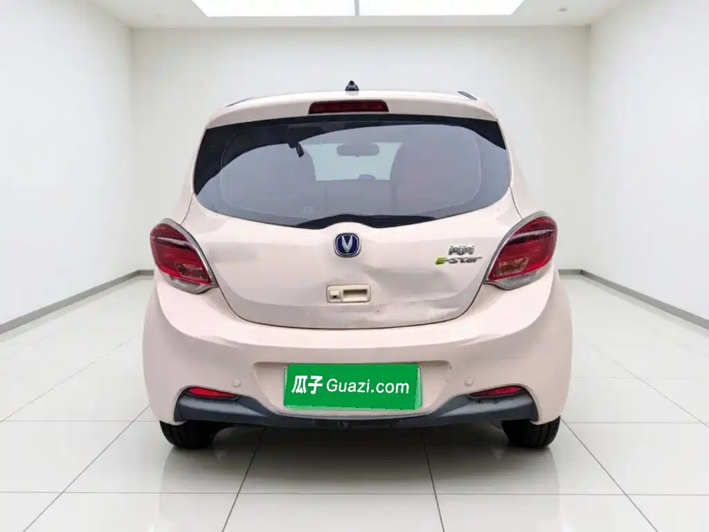 Changan Benben E-Star 2022 2022 Appreciation Edition Colorful LFP