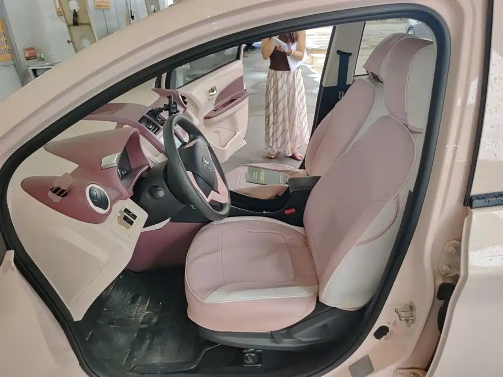 Changan Benben E-Star 2022 2022 Appreciation Edition Colorful LFP