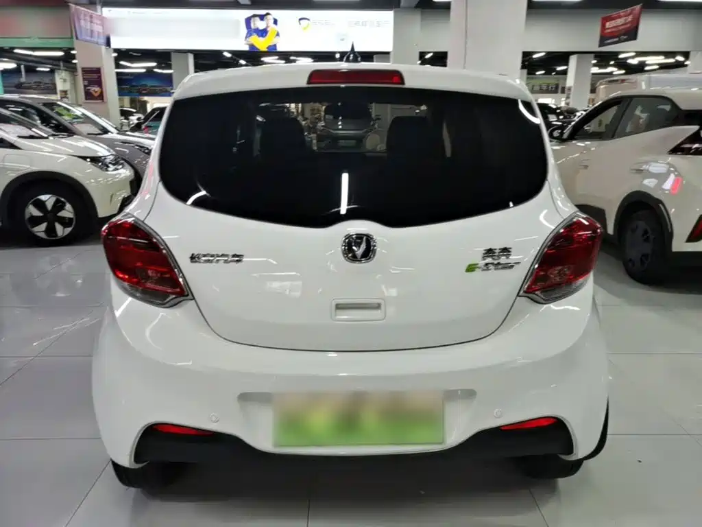 Changan Benben E-Star 2020 2020 Heartbeat Edition (NMC Battery)