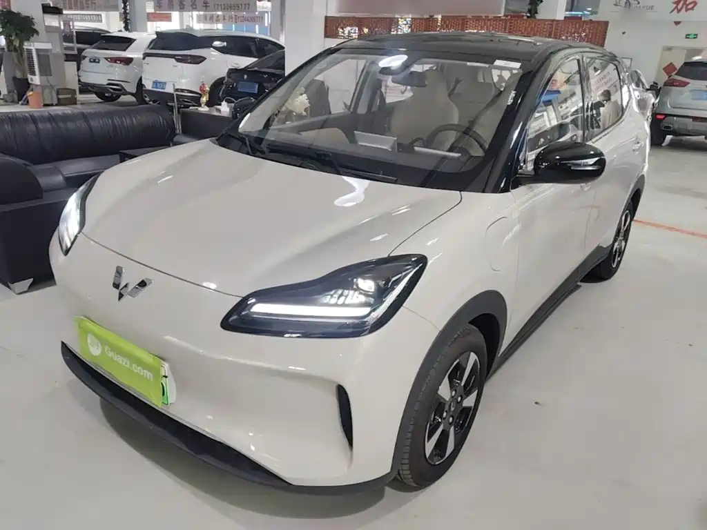 Wuling Motors Wuling Binguo PLUS 2024 Model 330km 5-Seater