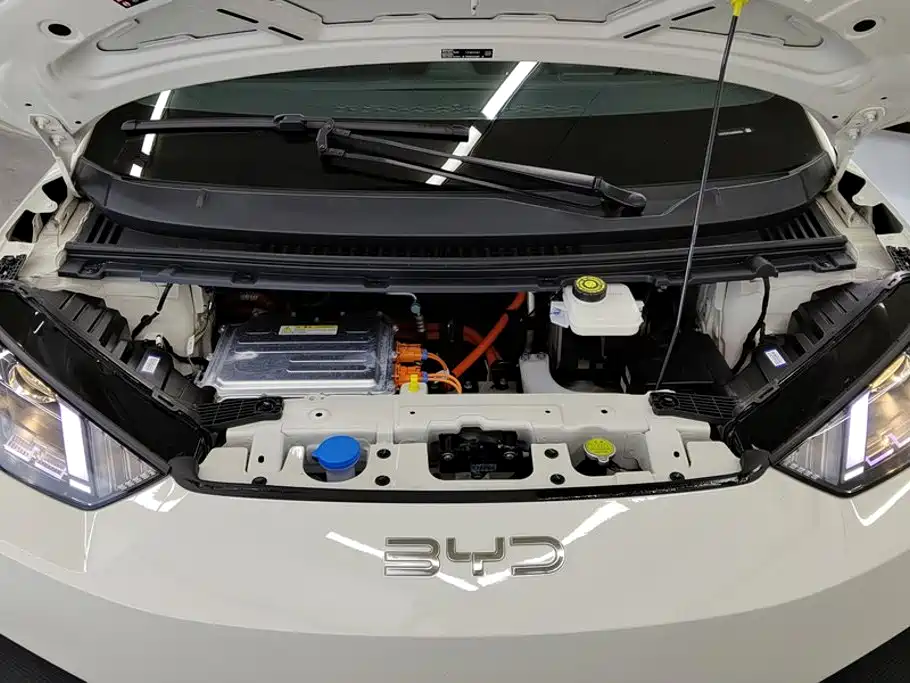 صورة 10 - BYD Seagull