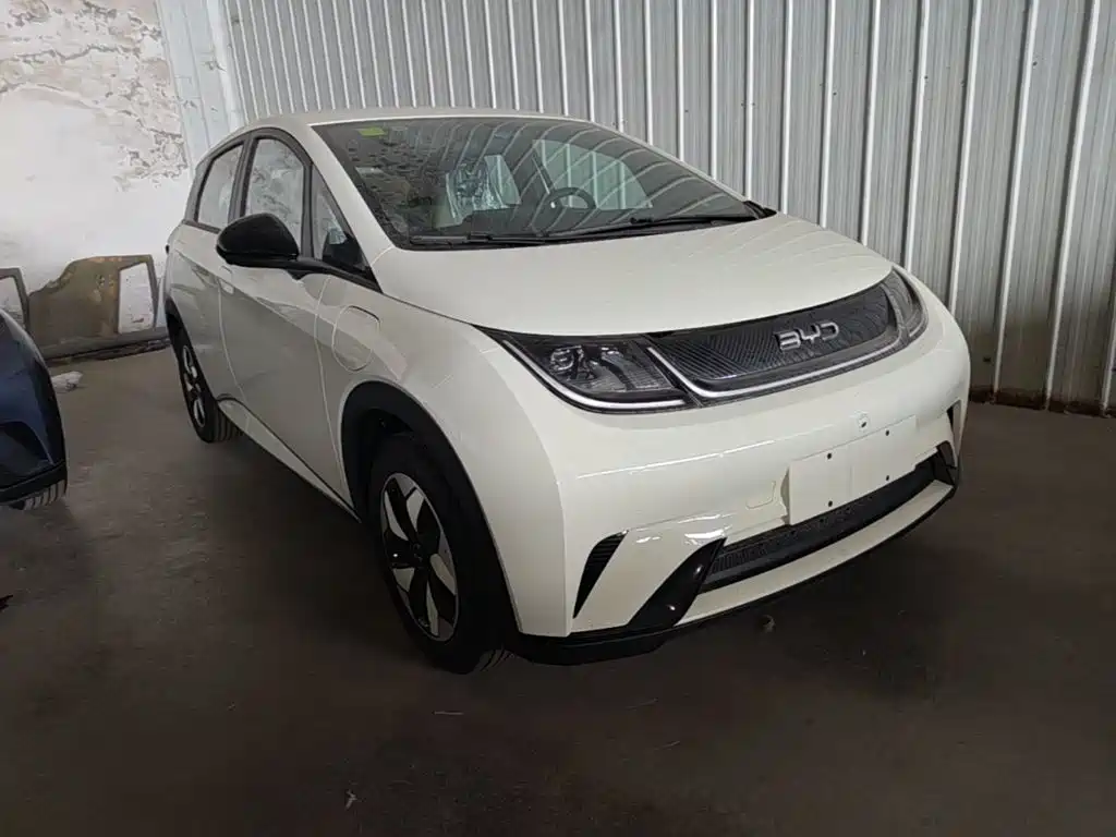 2026 BYD Dolphin