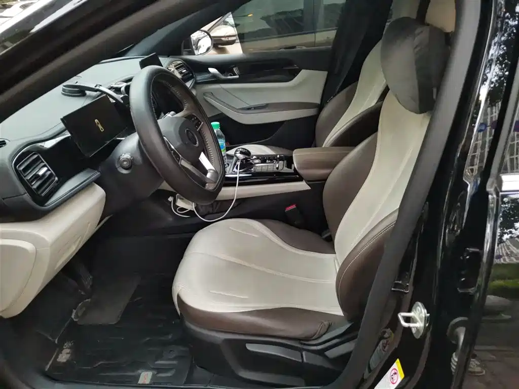 BYD Qin PLUS 2023 Champion Edition DM-i 55KM Leading фото 8