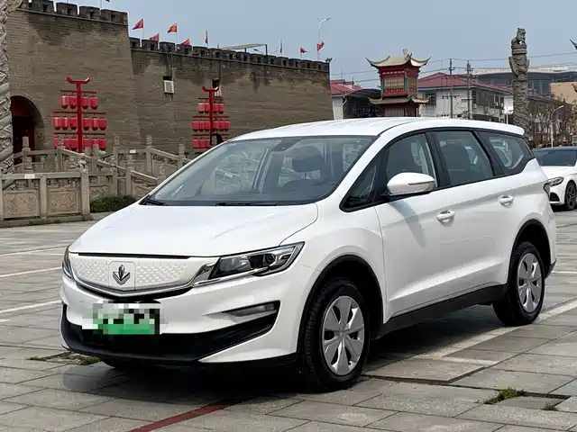 ruilan-automobile maple-leaf-80v-l