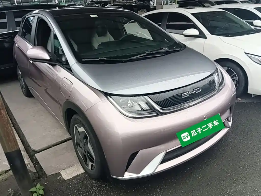 BYD Dolphin 2021 Model 405km Fashion Edition фото 4