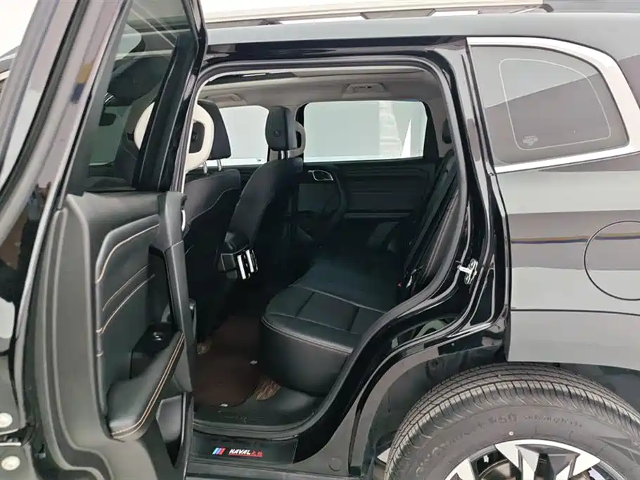 Haval Big Dog 2024 1.5T DCT Border Collie Edition фото 11