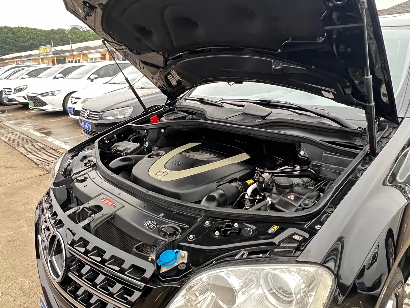 Mercedes-Benz M-Class 2010 ML 300 4MATIC фото 24