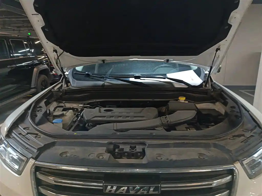 Haval H6 2020 2.0GDIT Automatic Platinum Champion Edition фото 16