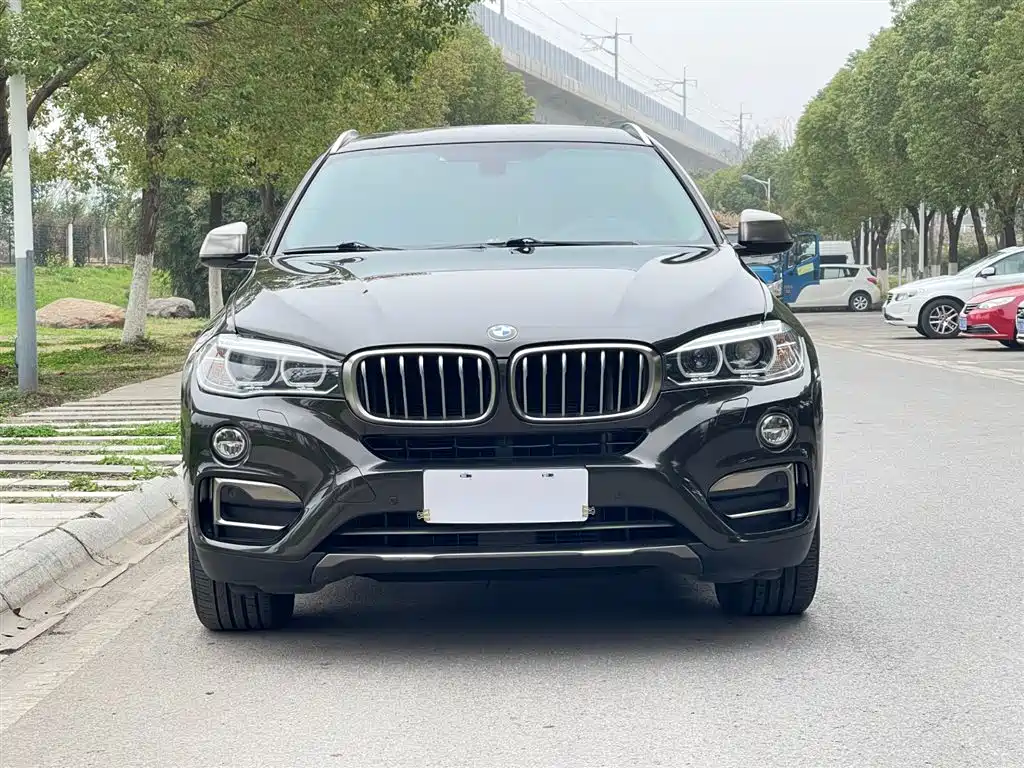 BMW X6 2017 xDrive35i Leading фото 3