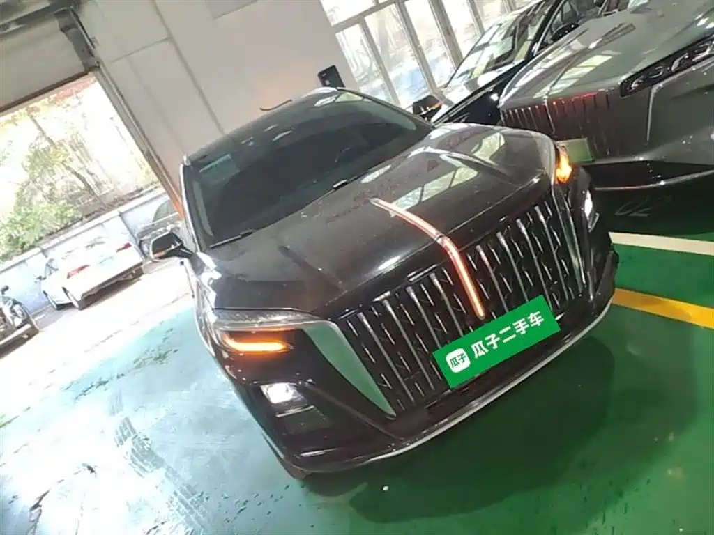 Hongqi HS3 PHEV 2024 PHEV 115km Power Edition фото 4