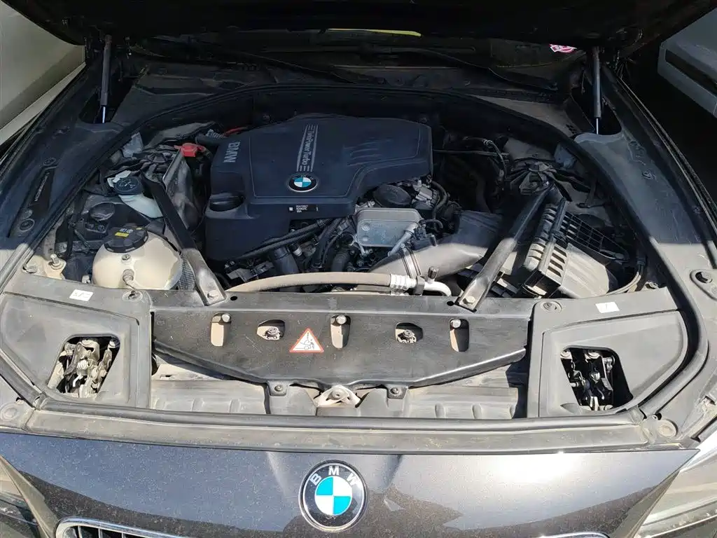 BMW 5 Series 2017 525Li Luxury Design Package фото 13