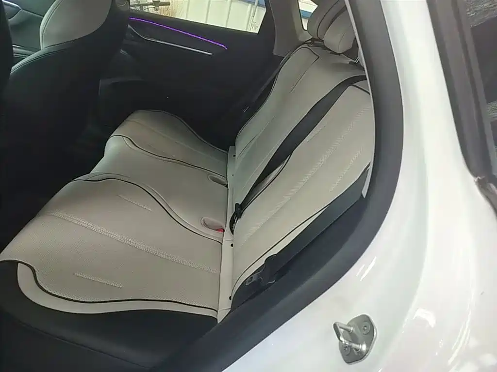 BYD Destroyer 05 2024 Glory Edition DM-i 55KM Luxury фото 17