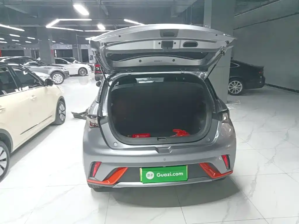 BYD Dolphin 2022 2021 Model 405km Fashion Edition
