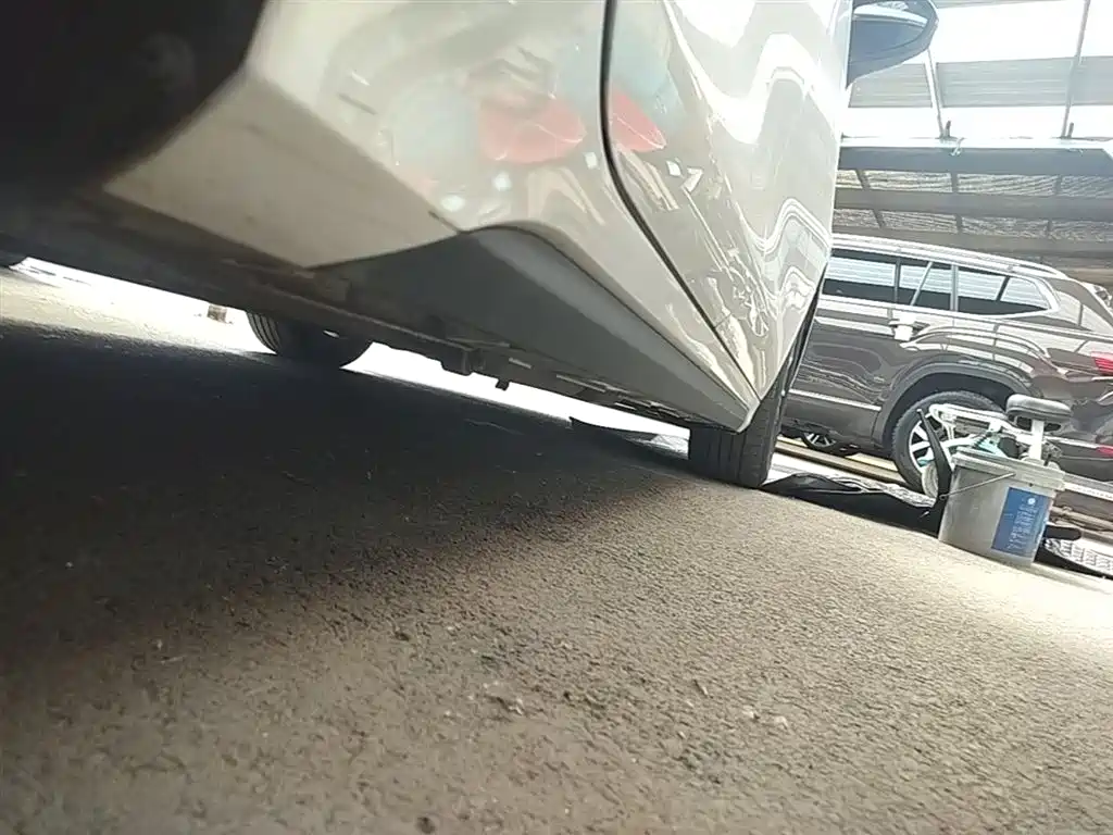 BYD Destroyer 05 2024 Glory Edition DM-i 55KM Luxury фото 21