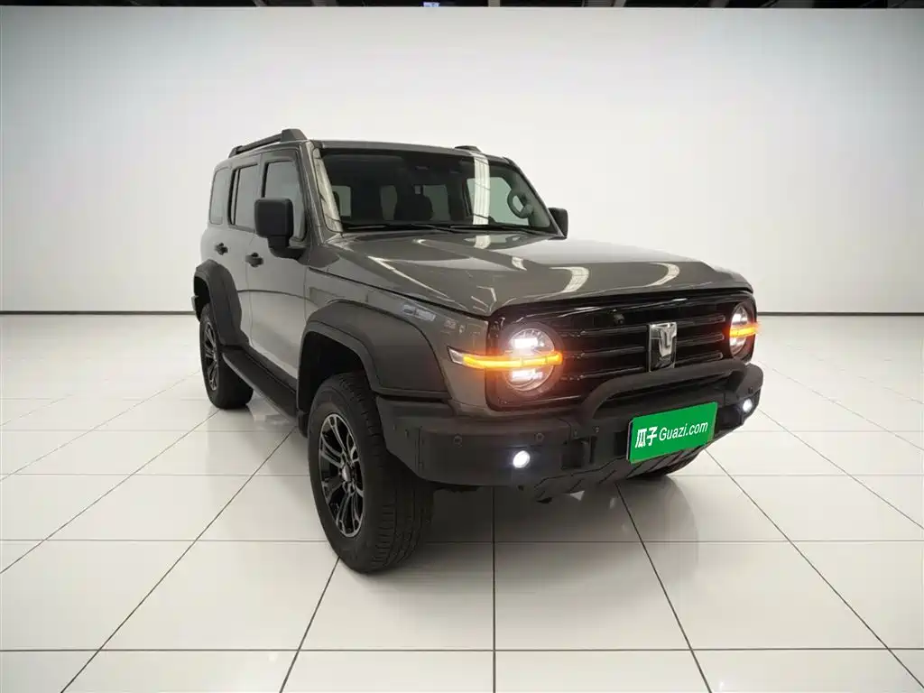 Tank 300 2023 Off-Road Edition 2.0T Conqueror фото 22