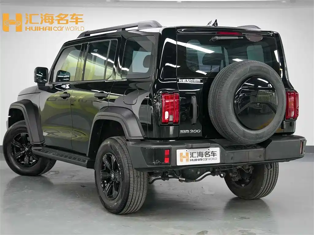 Tank 300 2024 Model 2.0T Challenger фото 4