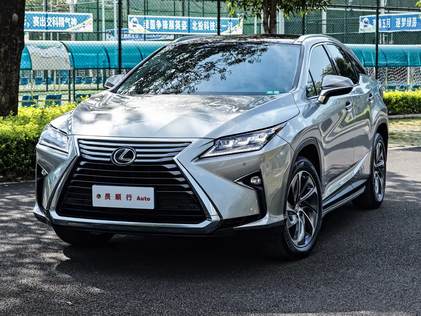 Lexus RX 2016 300 4WD Elegance Edition (China V) фото 15