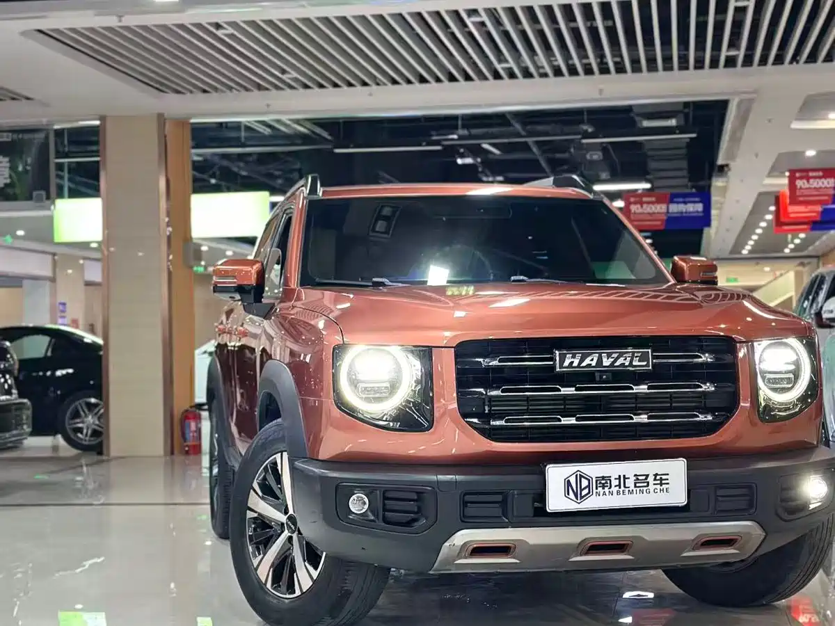 Haval Big Dog 2021 1.5T DCT 2WD Labrador Edition фото 2