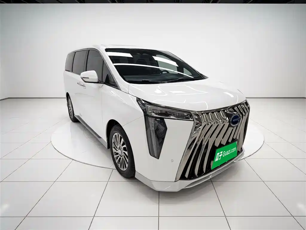 GAC Trumpchi Trumpchi M8 2023 Master Series Dual Hybrid Flagship Edition фото 4
