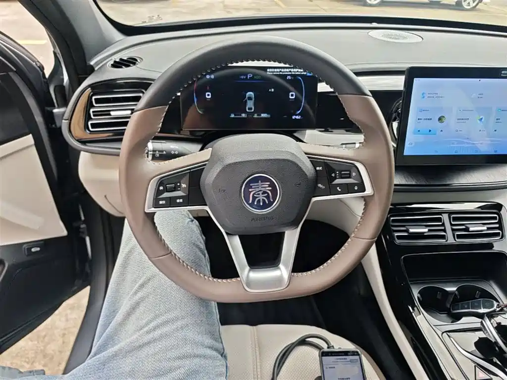 BYD Qin PLUS 2024 Glory Edition DM-i 55KM Leading фото 11